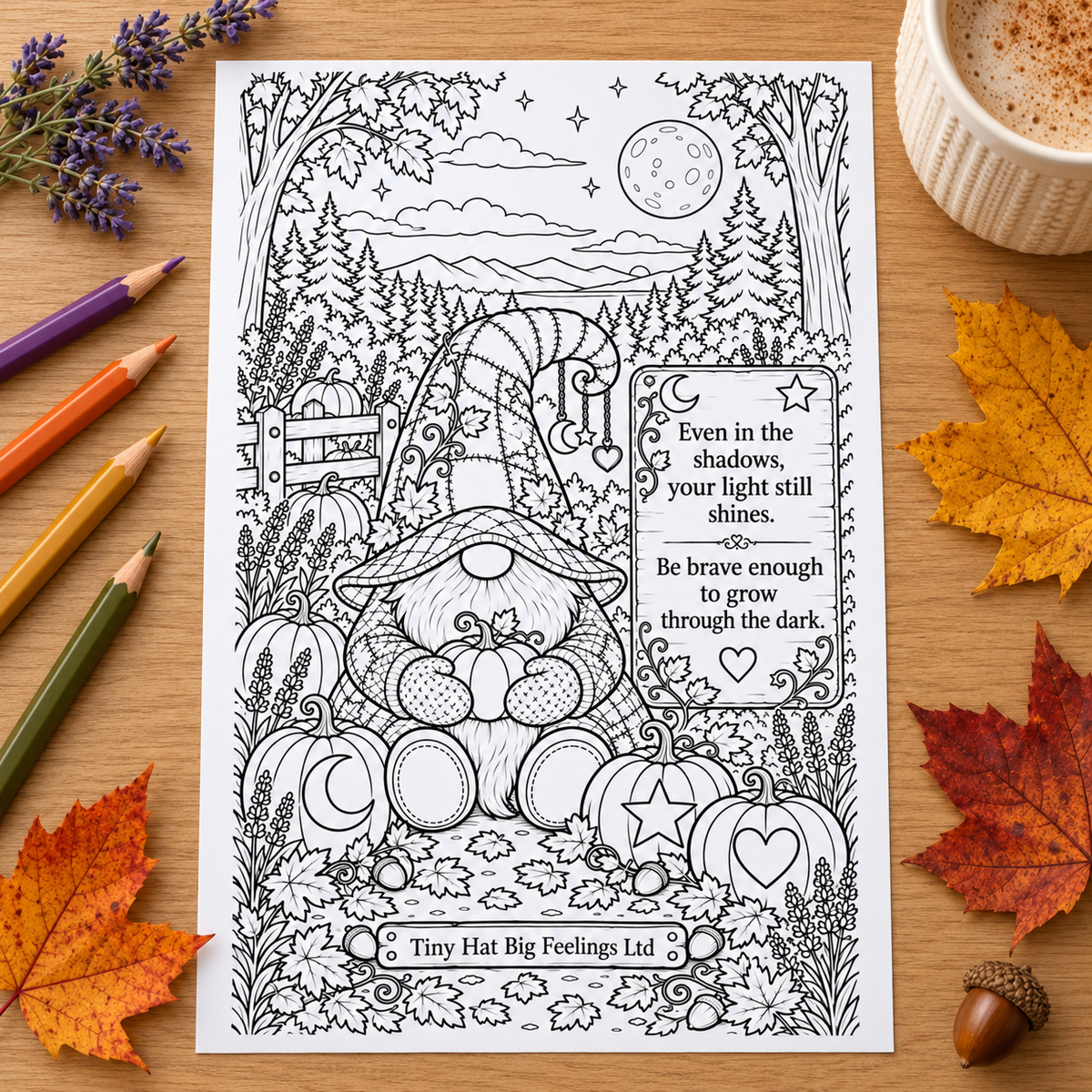Pumpkin Gonk Colouring Page